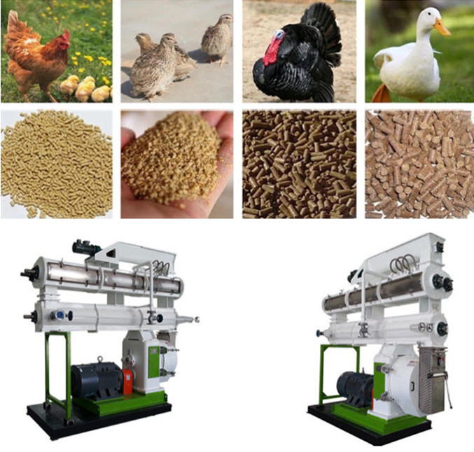 High Strength Animal Feed Making Machine America CPM Model For Cattle