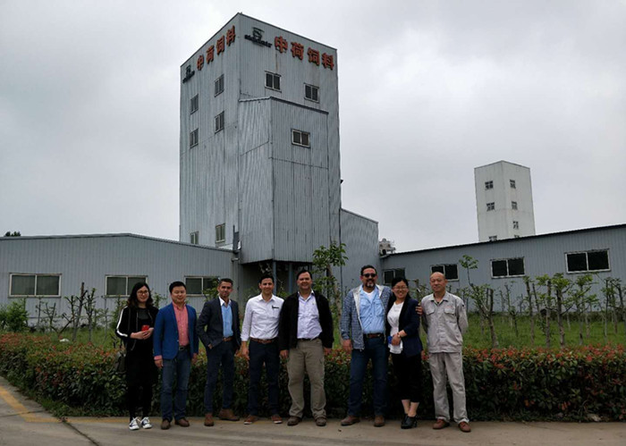 Latest company case about Mexico Client Visited Our Cattle Feed Production Plant