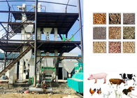 Sheep Cattle Animal Feed Pellet Production Line Grains / Maize Raw Material