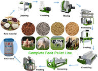 2 - 12mm Pellet Size Feed Pellet Production Line Automatic Grade For Poultry