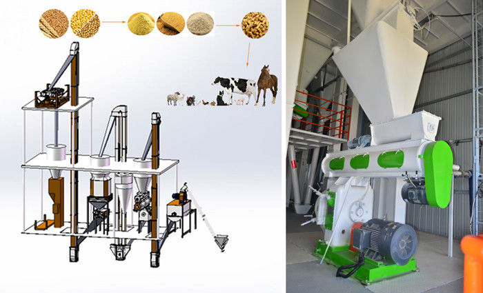 Professional Feed Pellet Production Line Broiler Chicken Feed Making Machine