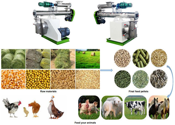 Professional Cattle Feed Manufacturing Machine Cow Feed Making Machine For Grass