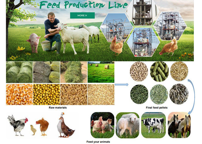 Industrial Feed Pellet Production Line Poultry Feed Manufacturing Equipment