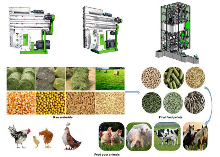 Animal Feed Manufacturing Plant Animal Feed Making Machine For Chicken Sheep