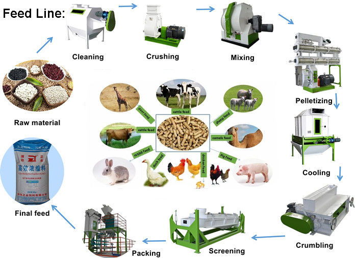 Livestock Feed Pellet Production Line Fish Food Pellet Making Machine ISO