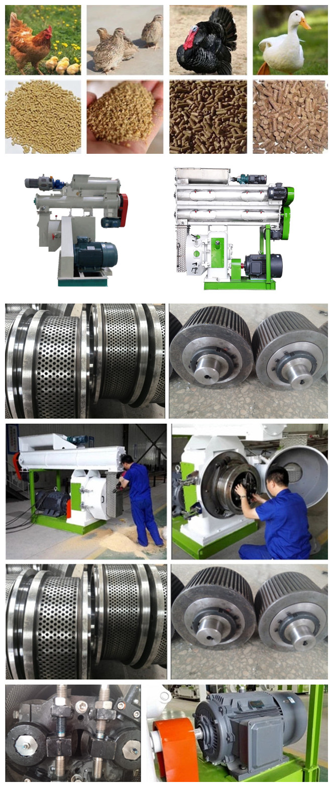 Low Noise Poultry Animal Feed Production Machine For Livestock Feed Line