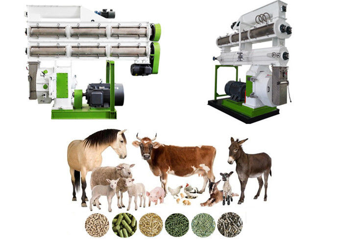 High Performance Pellet Production Equipment Animal Feed Making Machine