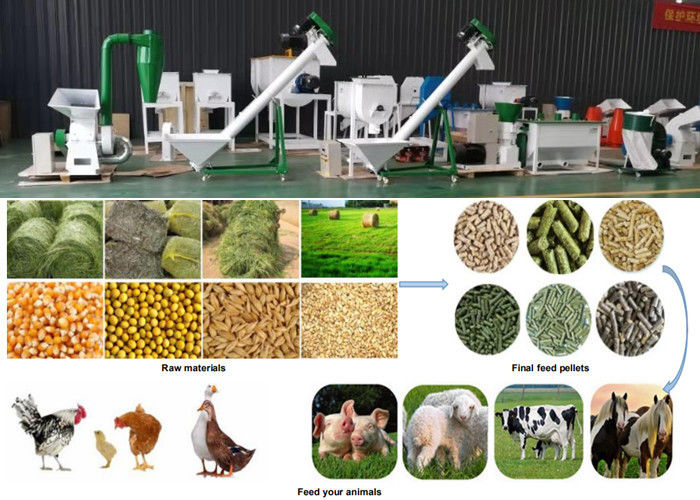 2 - 12mm Pellet Size Animal Feed Processing Equipment For Small Feed Factory