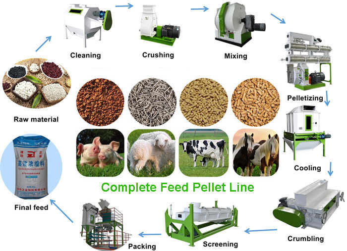 2 - 12mm Pellet Size Feed Pellet Production Line Automatic Grade For Poultry
